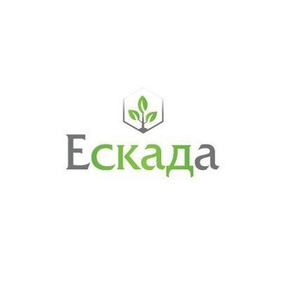Фунгіцид ЕСКАДА 488, КС 5л, Terra Vita, TV023 TV023 фото