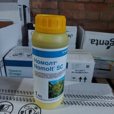 Інсектицид Номолт, КС 1л, Басф BF052 фото