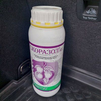 Фунгіцид Скоразол, КЕ 1л, Нертус NRS039 фото