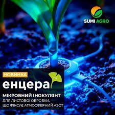 Біопрепарат Енцера - 200 грам, Самміт Агро SAU202537 фото