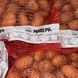 Насіння картоплі Маверік 1 репродукція, 20кг AL202501 фото 1