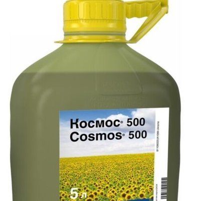 Протруйник Космос 500 5л, BASF, BF058 BF058 фото